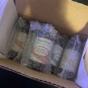 Inactive account added a photo of their purchase