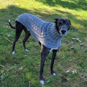 XXXS Dog Sweater XXS Dog Coat XXS Dog Clothes Tiny Dog | Etsy