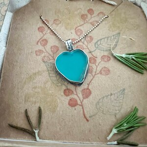 K added a photo of their purchase