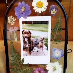 Kaitlin added a photo of their purchase