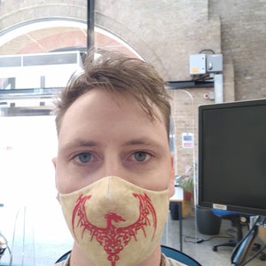 Peter Rabbit Adult Hooded Sweatshirt-with Large Peter | Etsy