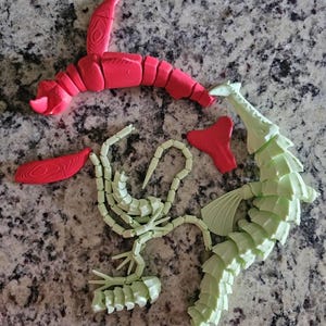 Beth added a photo of their purchase