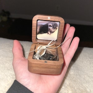 Achilles adicionaram uma foto da sua compra