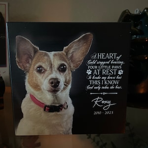 Julyn added a photo of their purchase