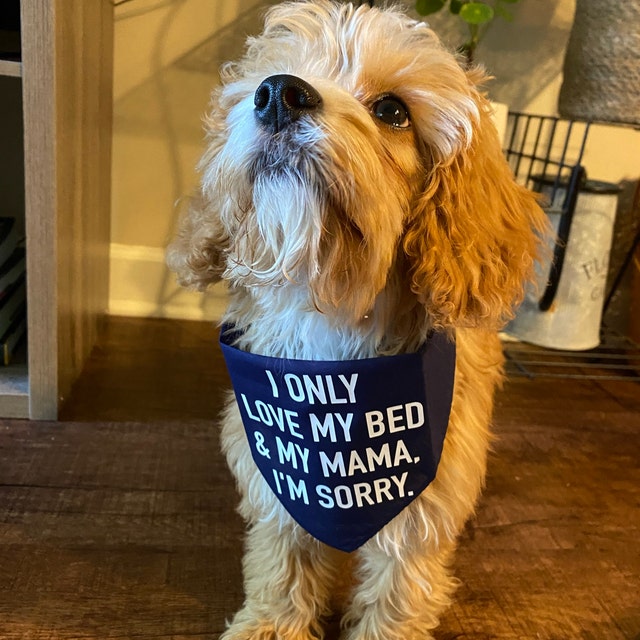 I only love my bed and my momma dog bandana 2025