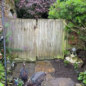 Alison ha añadido una foto de su compra