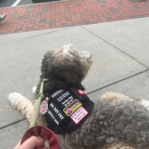 Anna added a photo of their purchase