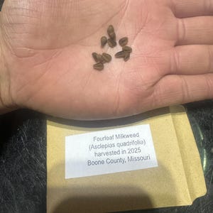 Ricky added a photo of their purchase