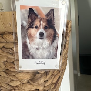 Candy added a photo of their purchase