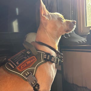 jason added a photo of their purchase