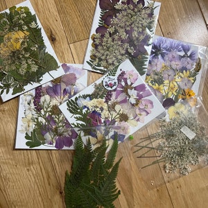 Dried Pressed Flowers For Crafts - Pressed Flowers Mix Pack - Dry Pressed  Flower Art - Dried Real Flowers - Card Making - 145x106mm - HM1028