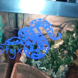 Scylla added a photo of their purchase