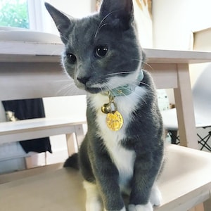 Jay a ajouté une photo de son achat