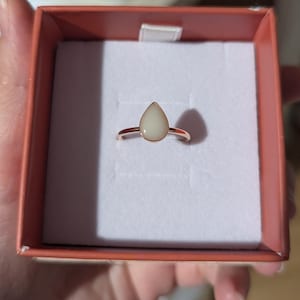 Lauren added a photo of their purchase