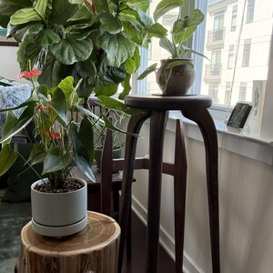 植物スタンド、大型、屋内植物スタンド、植物スツール、エンドテーブル