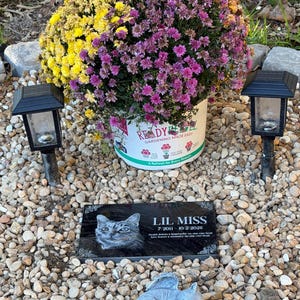 Teri added a photo of their purchase