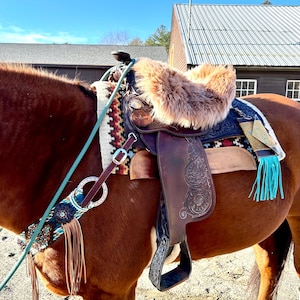 Toni added a photo of their purchase