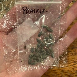 Janelle ha añadido una foto de su compra