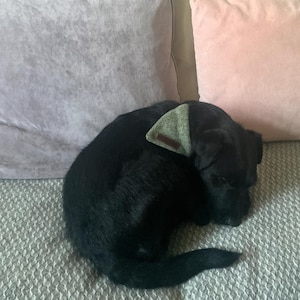 Samantha a ajouté une photo de son achat