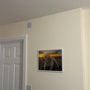 Nicoleta heeft een foto van de aankoop toegevoegd