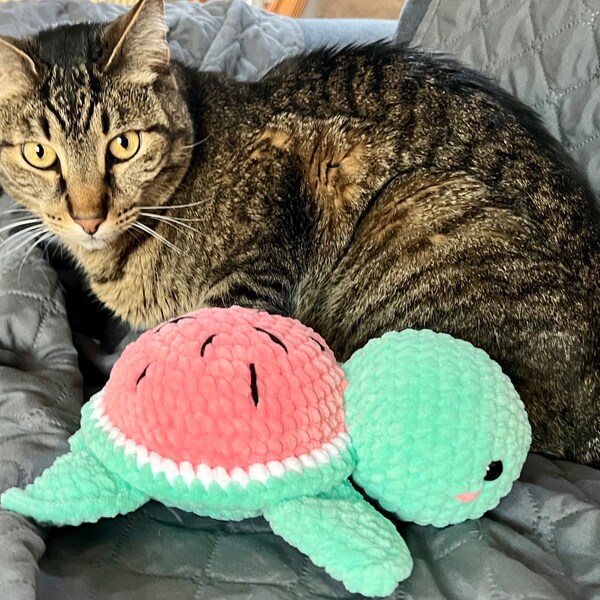 Crochet Watermelon Turtle, Watermelon Turtle Plushie, Turtle Amigurumi