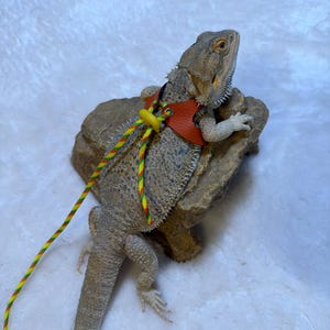Etsy-köpare lade till en bild av sitt köp