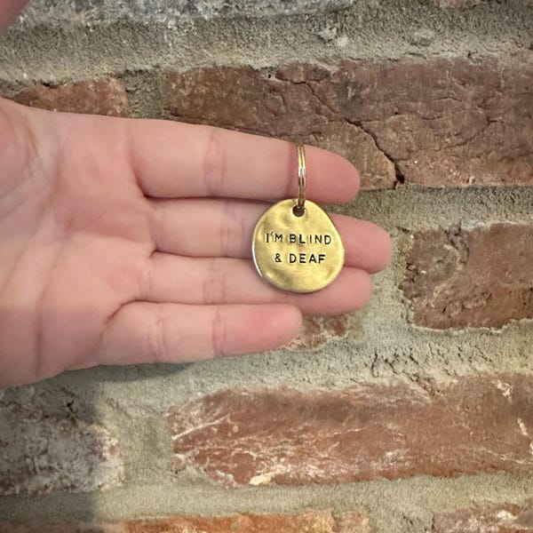 pre 1965 Exact Replica reliëf RVS Leger Stijl Hond ID Tags
