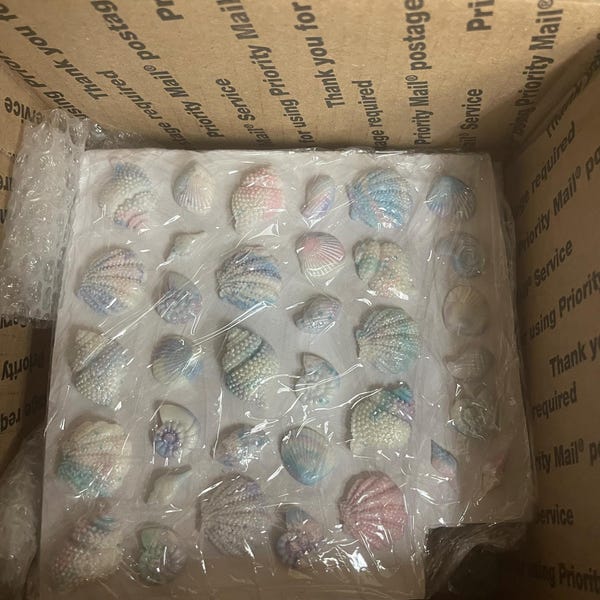 Assorted Edible Pastel Pearlescent Sea Shells - Etsy
