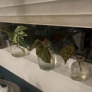 Claire heeft een foto van de aankoop toegevoegd