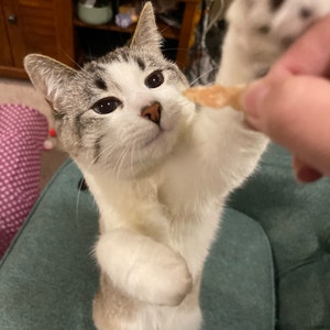 Misty ha añadido una foto de su compra