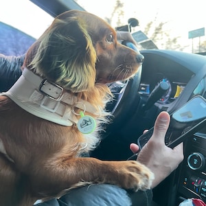 Heavenly added a photo of their purchase