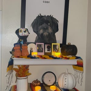 Lizzy added a photo of their purchase