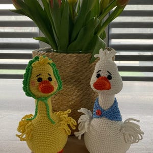Nelissen added a photo of their purchase