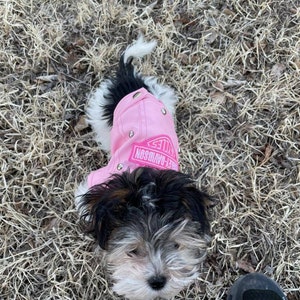 Baja Dog Poncho SIZE 3-mexican Dog Hoodie-mexican Poncho dog - Etsy