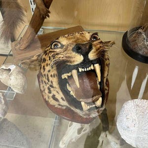 Yuriy added a photo of their purchase