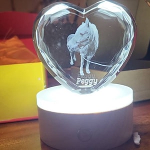 amelie added a photo of their purchase