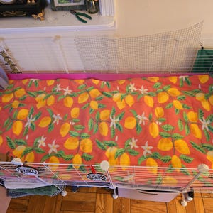 Susan added a photo of their purchase
