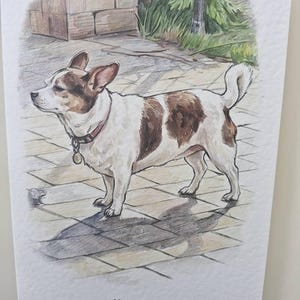 Sheelagh added a photo of their purchase