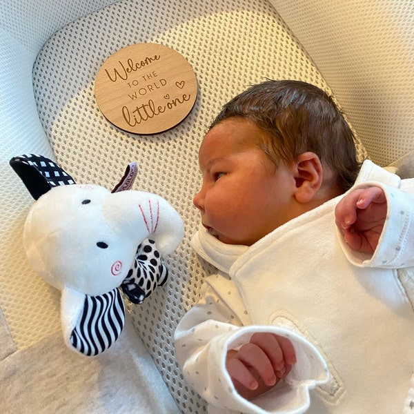 Baby Arrival Sign | Welcome to the World | Hello World L Engraved Name ...