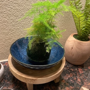 Ivan ha aggiunto una foto del proprio acquisto