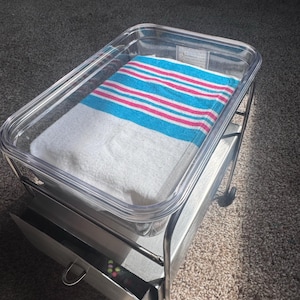 shelly added a photo of their purchase