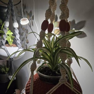 Linda added a photo of their purchase