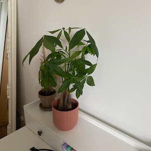 Sophie added a photo of their purchase