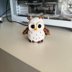 Paula ha aggiunto una foto del proprio acquisto