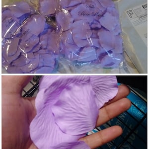 Scarlet さんが購入した商品の写真を追加しました