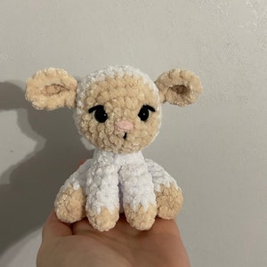 Sierra added a photo of their purchase