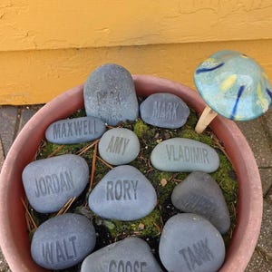 Amy ha añadido una foto de su compra