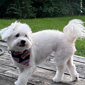 Maggie added a photo of their purchase