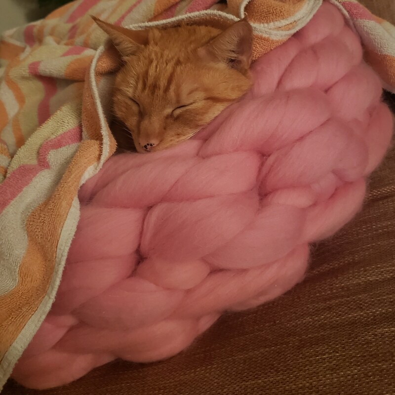 Customer photo of Merino Wool Pet Bed
