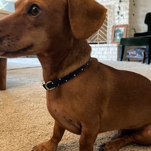 Brandy ha añadido una foto de su compra